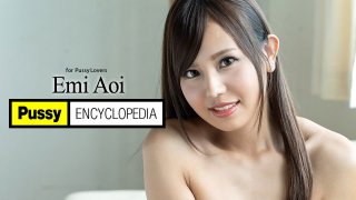 Pussy Encyclopedia Emi Aoi